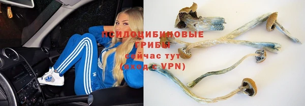 spice Абдулино