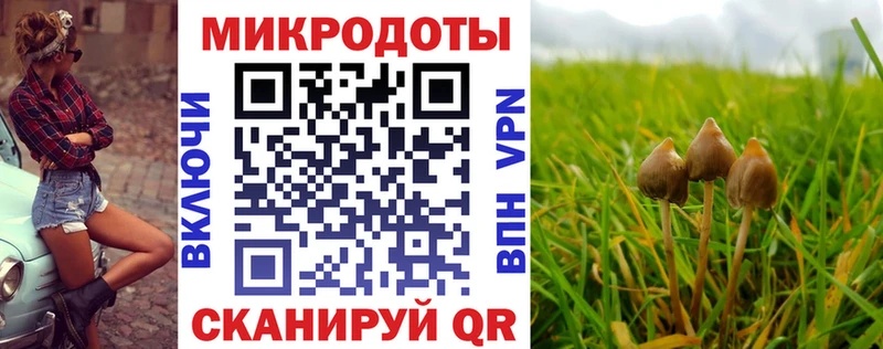 Псилоцибиновые грибы GOLDEN TEACHER  ссылка на мегу ссылки  Тбилисская 